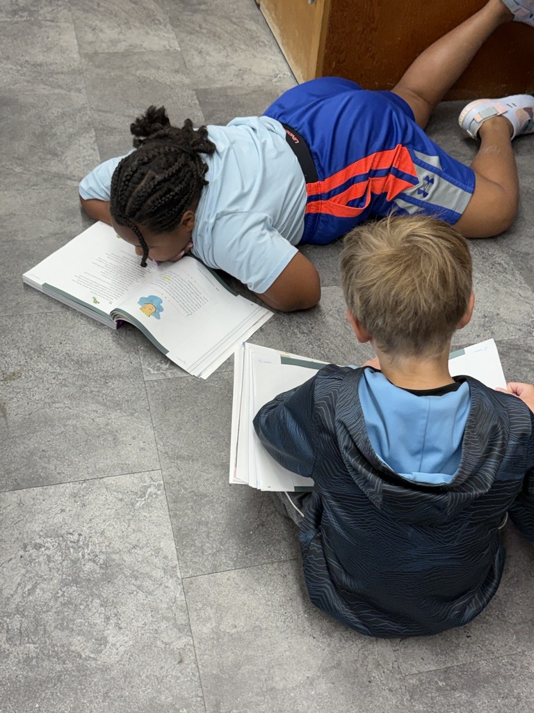 3R Partner Reading