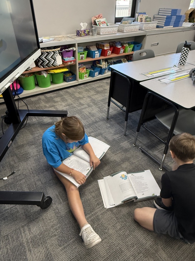 3R Partner Reading