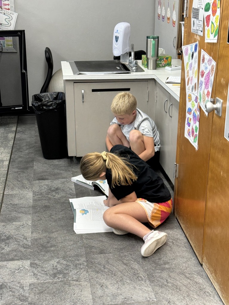 3R Partner Reading