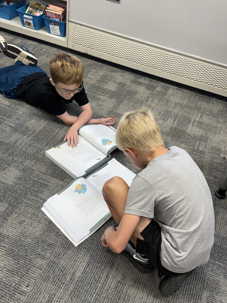 3R Partner Reading