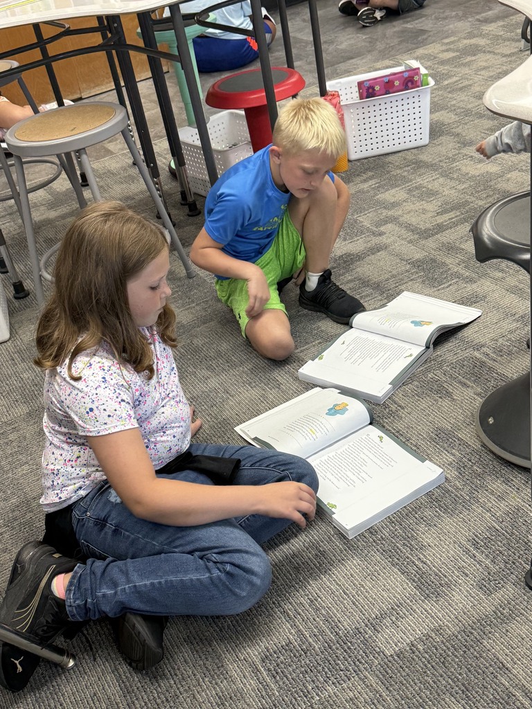 3R Partner Reading