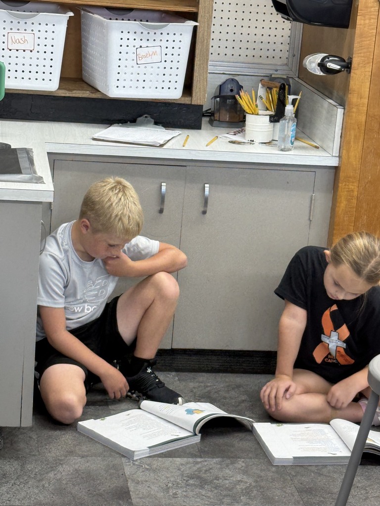 3R Partner Reading
