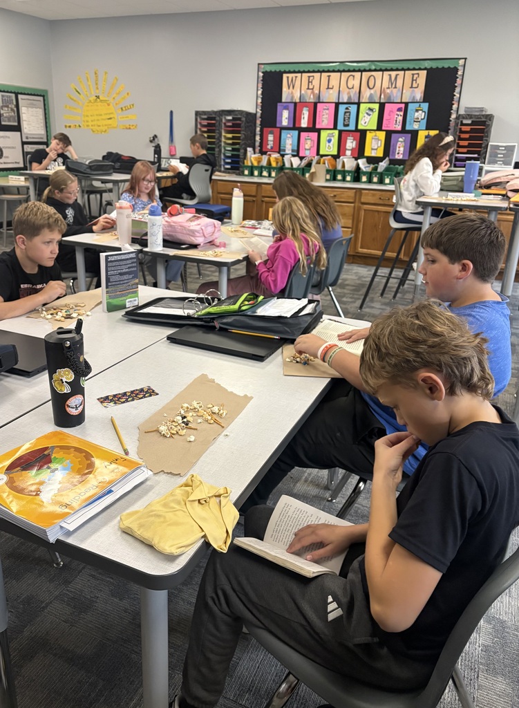 5th Grade Reading