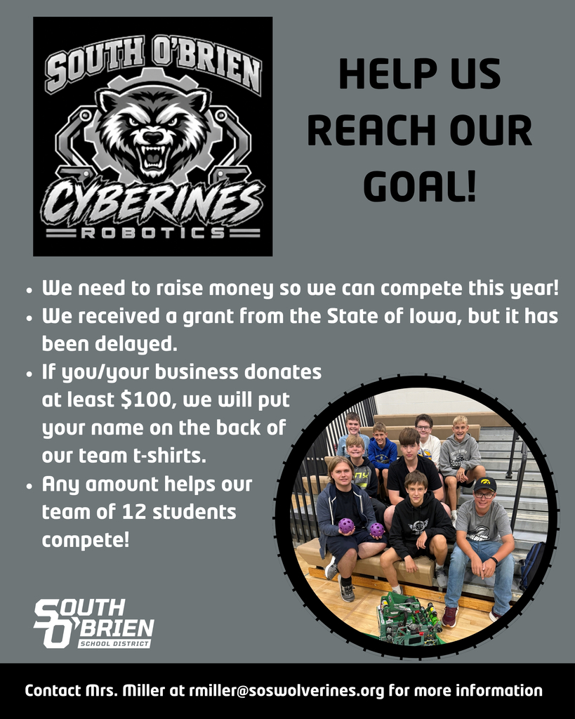 Cyberines