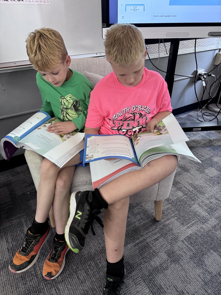 3M Reading