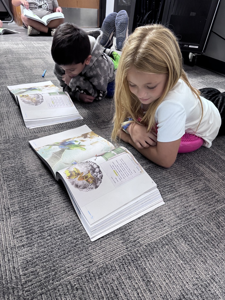 3M Reading