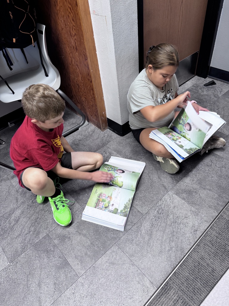 3M Reading