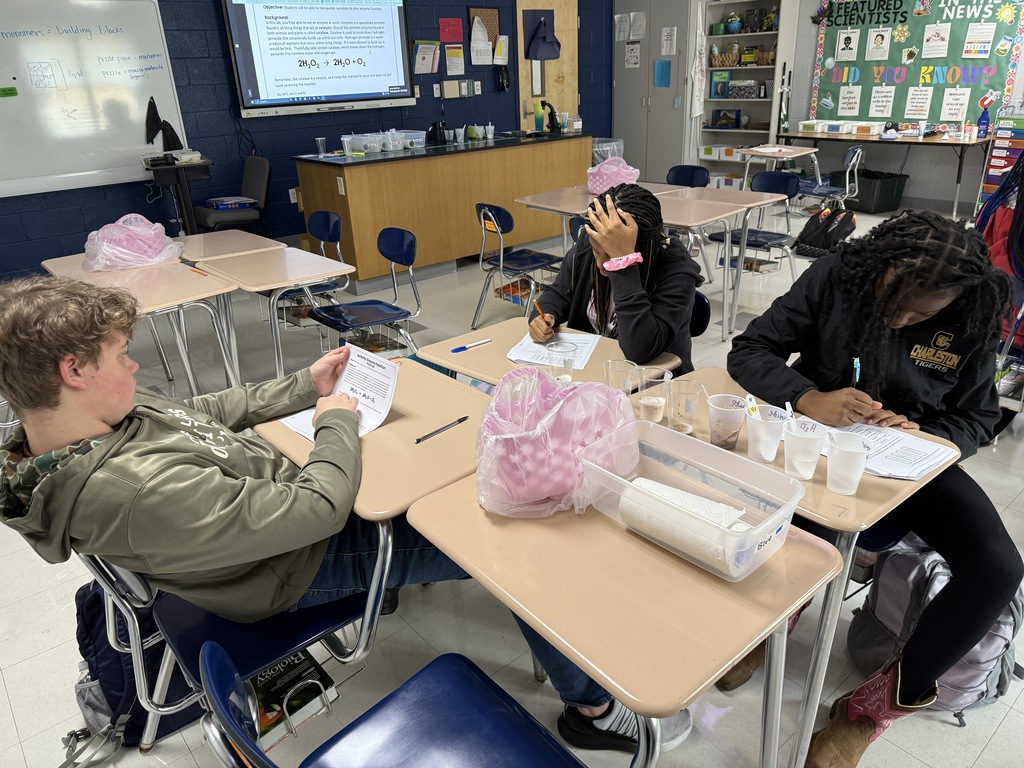 Mrs. Hamilton's students experimented with enzymes