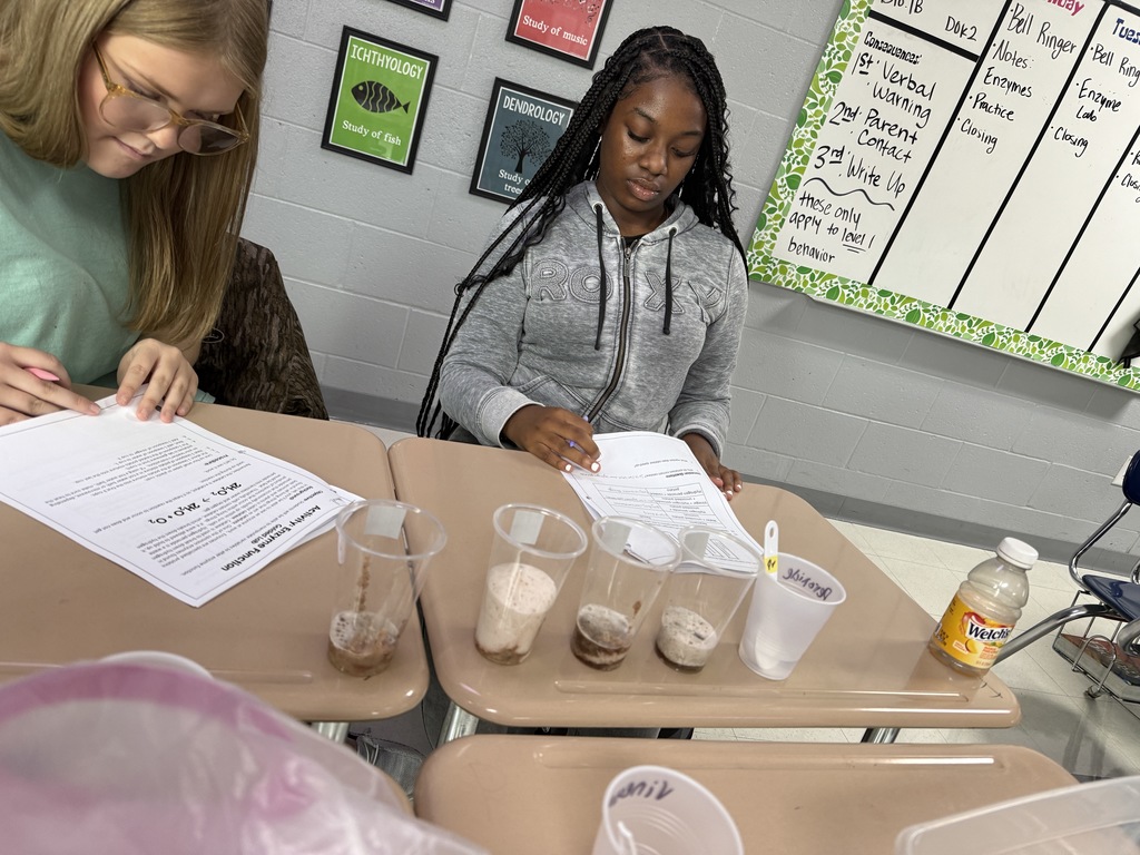 Mrs. Hamilton's students experimented with enzymes