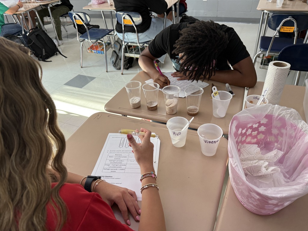 Mrs. Hamilton's students experimented with enzymes
