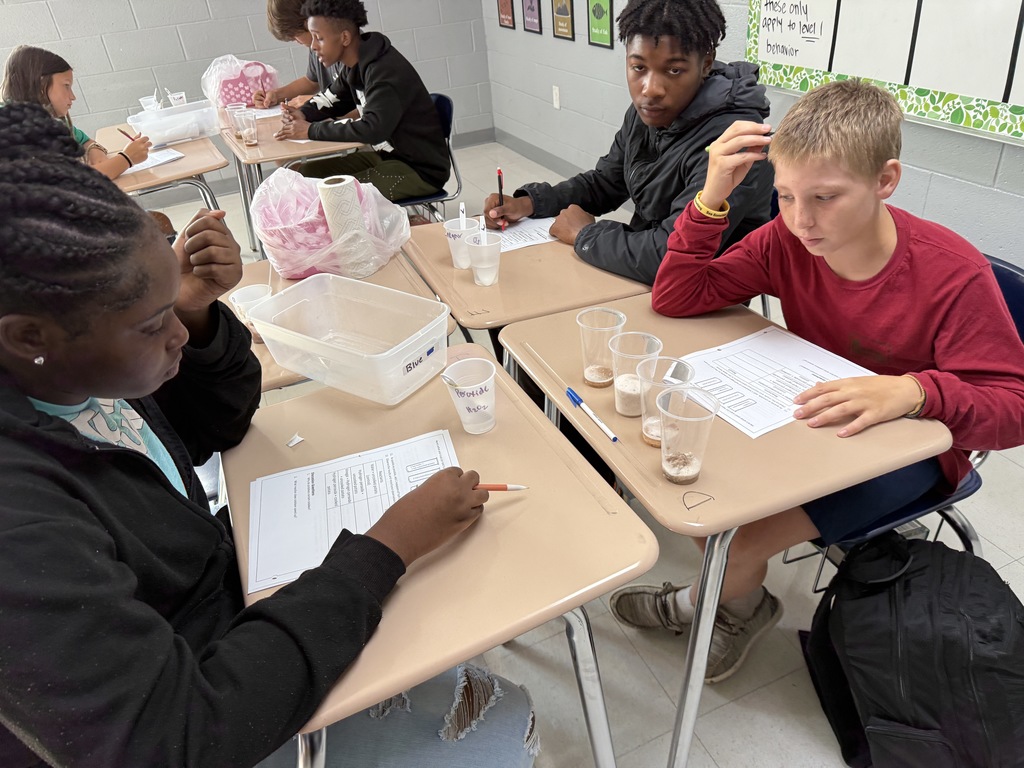 Mrs. Hamilton's students experimented with enzymes