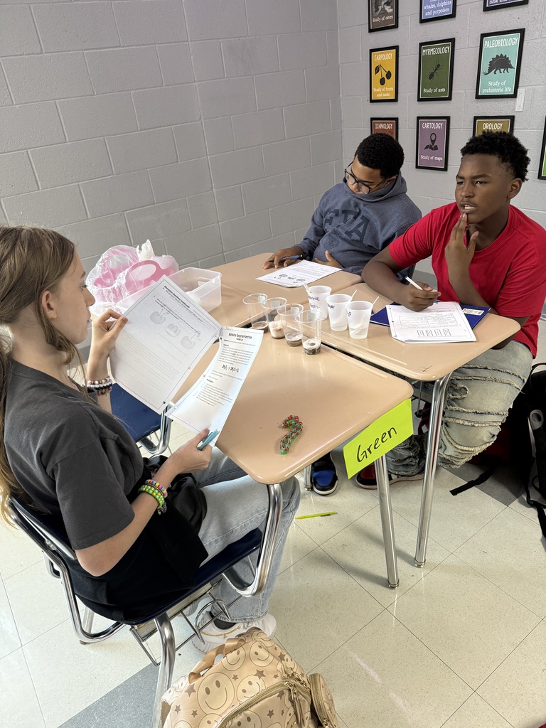 Mrs. Hamilton's students experimented with enzymes