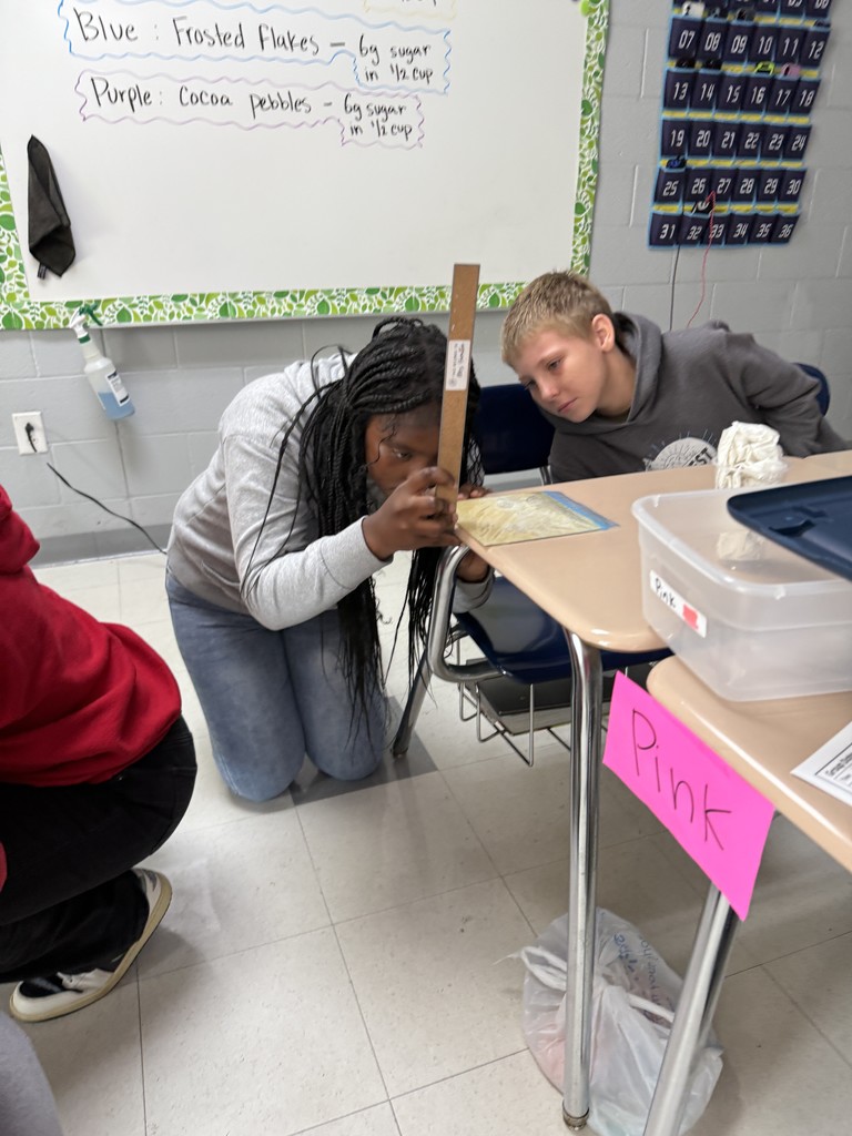 Mrs. Hamilton’s students explored alcoholic fermentation by testing yeast activity with different cereals.