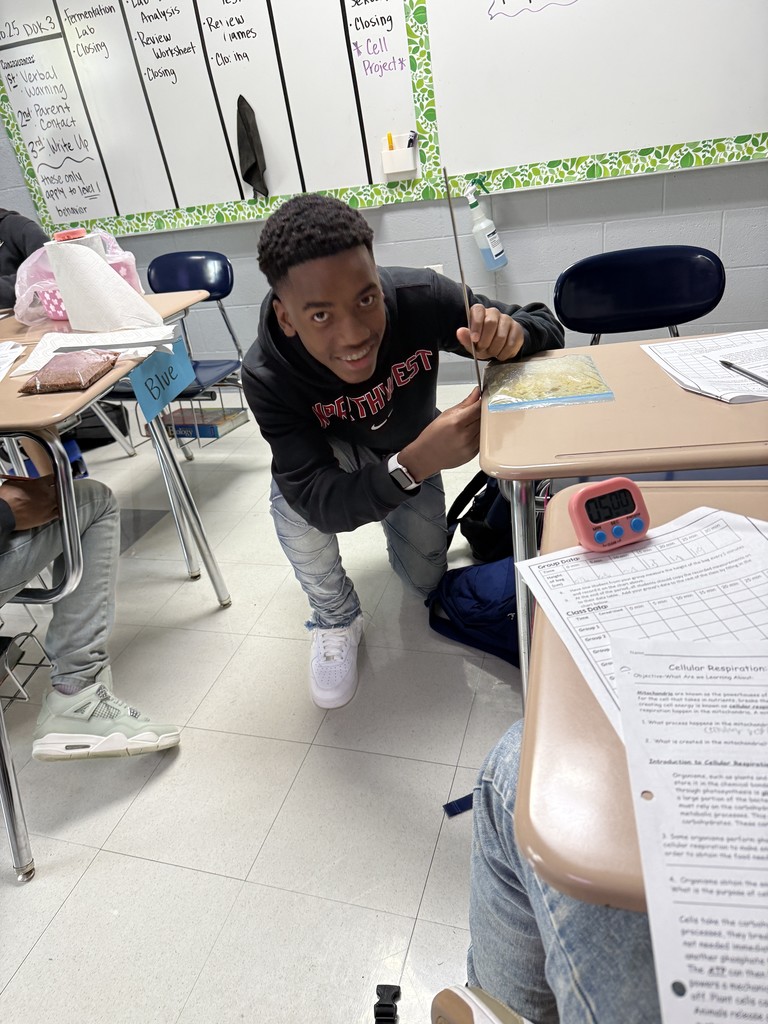 Mrs. Hamilton’s students explored alcoholic fermentation by testing yeast activity with different cereals.