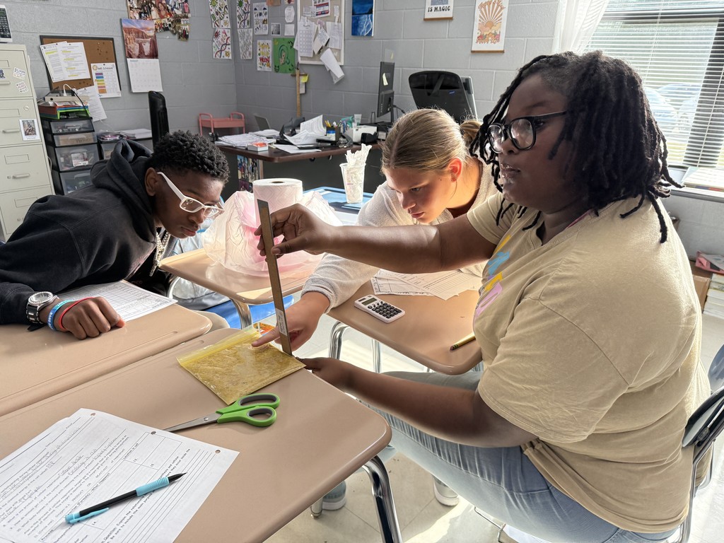 Mrs. Hamilton’s students explored alcoholic fermentation by testing yeast activity with different cereals.