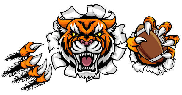 Tiger football