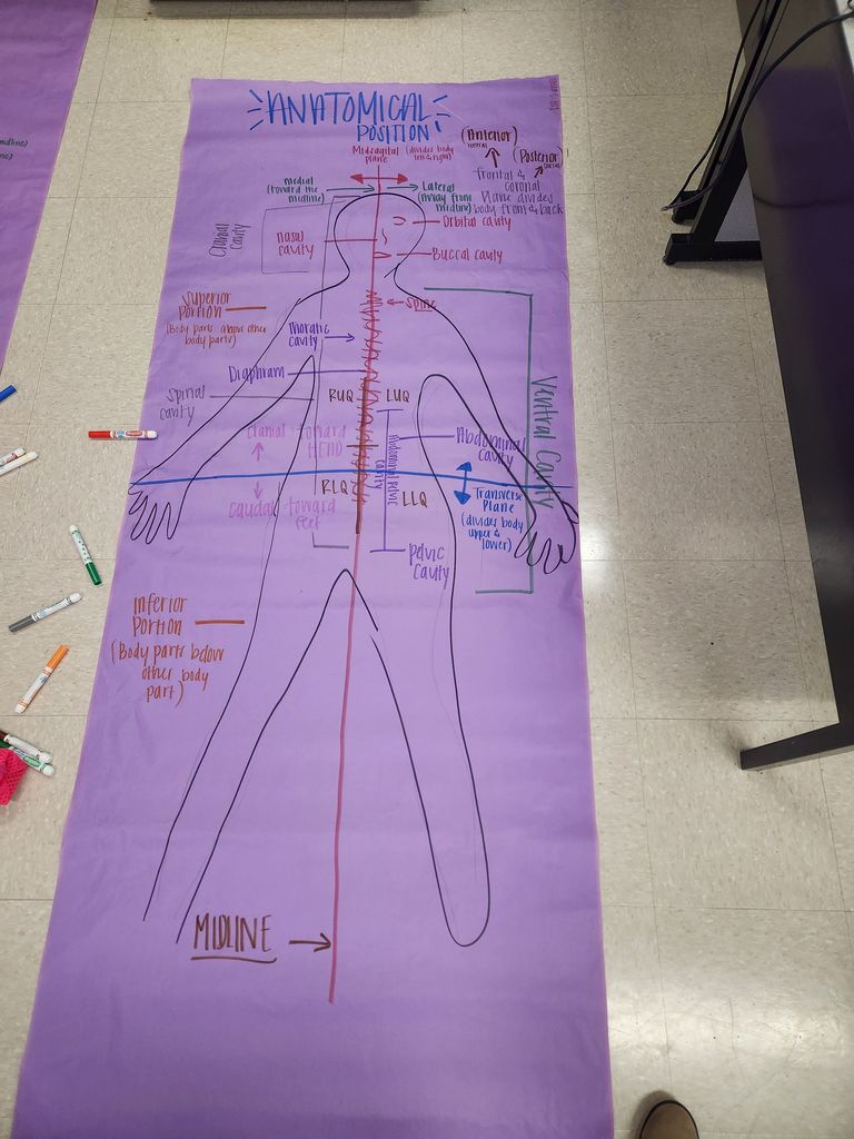 Health Science project