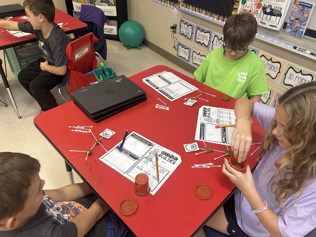 3rd grade student working on math project