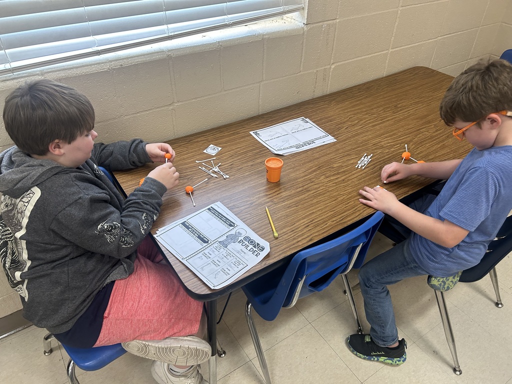 3rd grade student working on math project