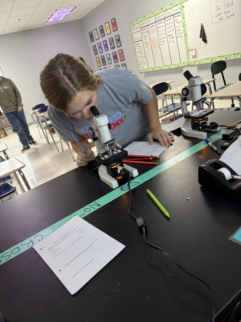Mrs. Hamilton’s Foundations of Biology students explored the microscopic world