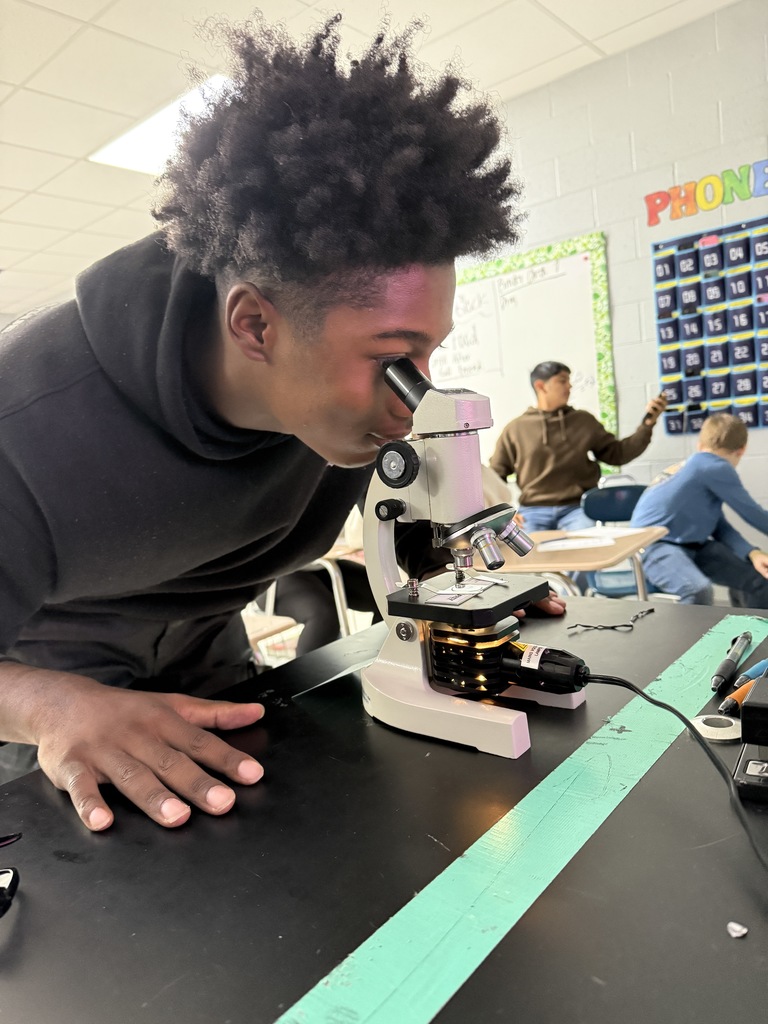 Mrs. Hamilton’s Foundations of Biology students explored the microscopic world