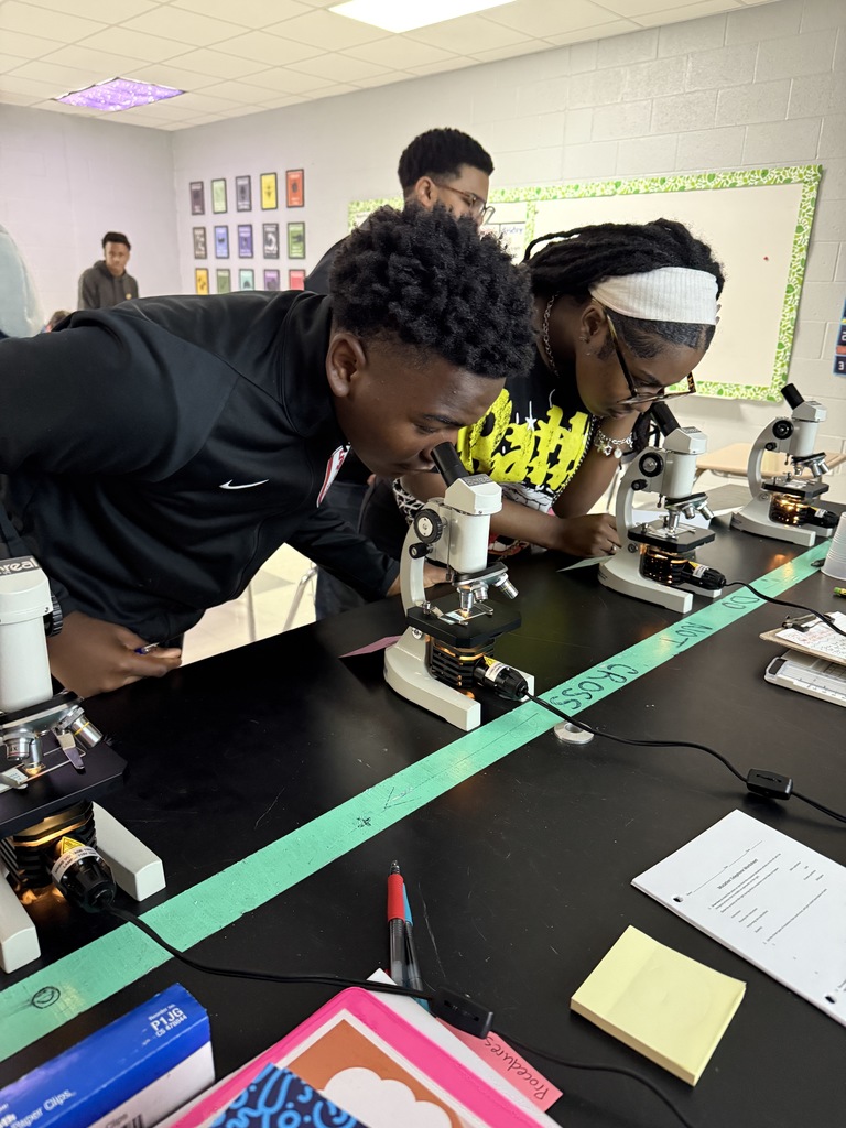 Mrs. Hamilton’s Foundations of Biology students explored the microscopic world