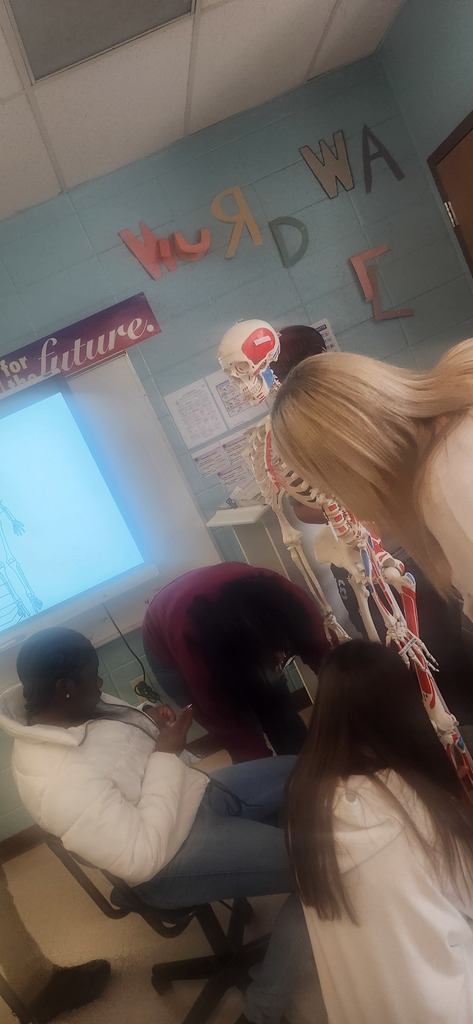 Mrs. Shultice's Health Science year 1 students explored every bone on the class skeleton.