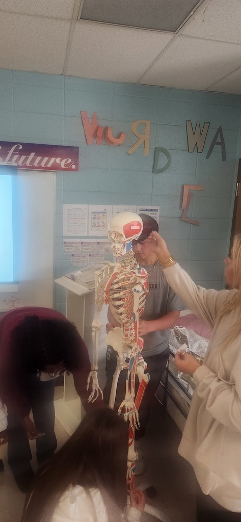 Mrs. Shultice's Health Science year 1 students explored every bone on the class skeleton.