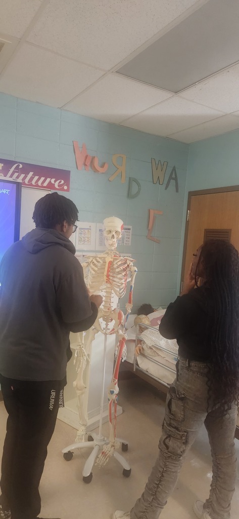 Mrs. Shultice's Health Science year 1 students explored every bone on the class skeleton.