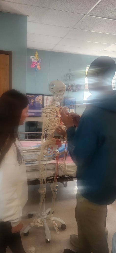 Mrs. Shultice's Health Science year 1 students explored every bone on the class skeleton.