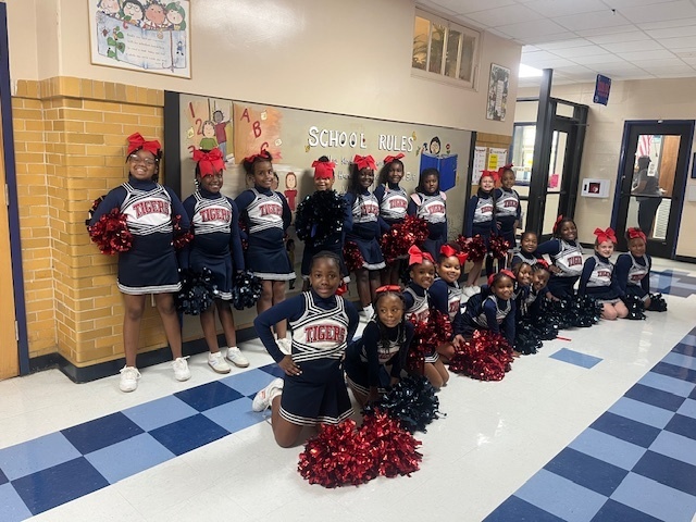 Little Tigers Cheer Team 
