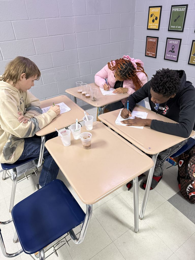 Foundations of Biology classes finished up their biomolecules unit by investigating the effect pH and temperature have on enzyme function in this hands-on lab. 