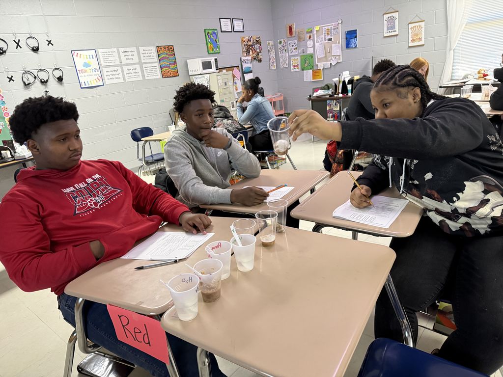 Foundations of Biology classes finished up their biomolecules unit by investigating the effect pH and temperature have on enzyme function in this hands-on lab. 