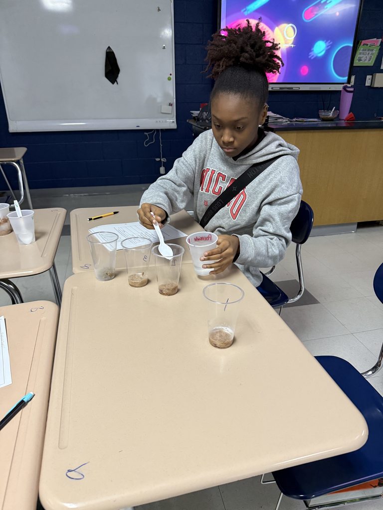 Foundations of Biology classes finished up their biomolecules unit by investigating the effect pH and temperature have on enzyme function in this hands-on lab. 