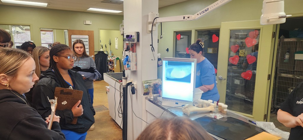 SPHS Healthcare & Clinical Services students had a hands-on learning experience at Family Pet Hospital