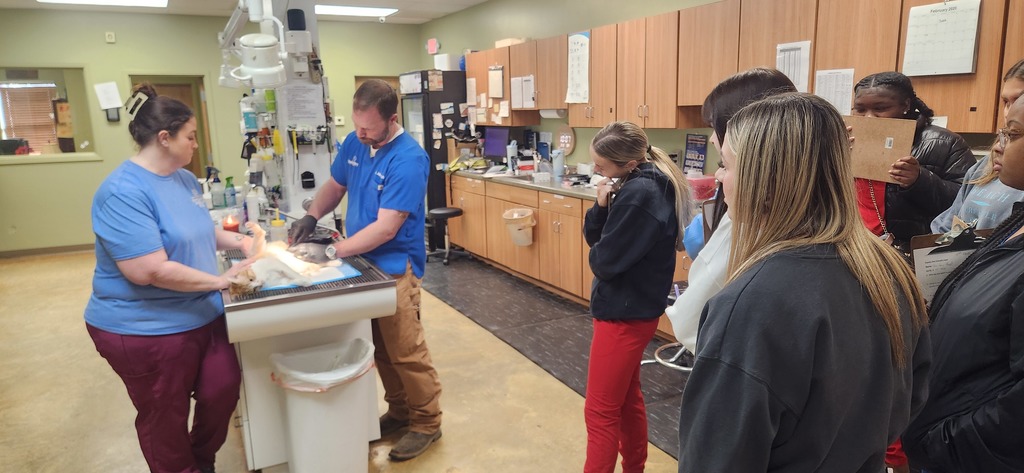 SPHS Healthcare & Clinical Services students had a hands-on learning experience at Family Pet Hospital