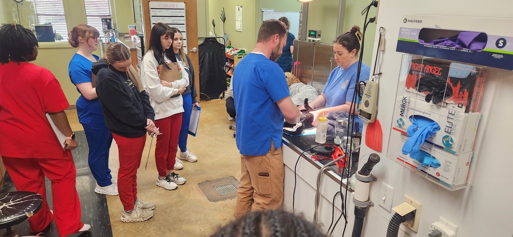 SPHS Healthcare & Clinical Services students had a hands-on learning experience at Family Pet Hospital