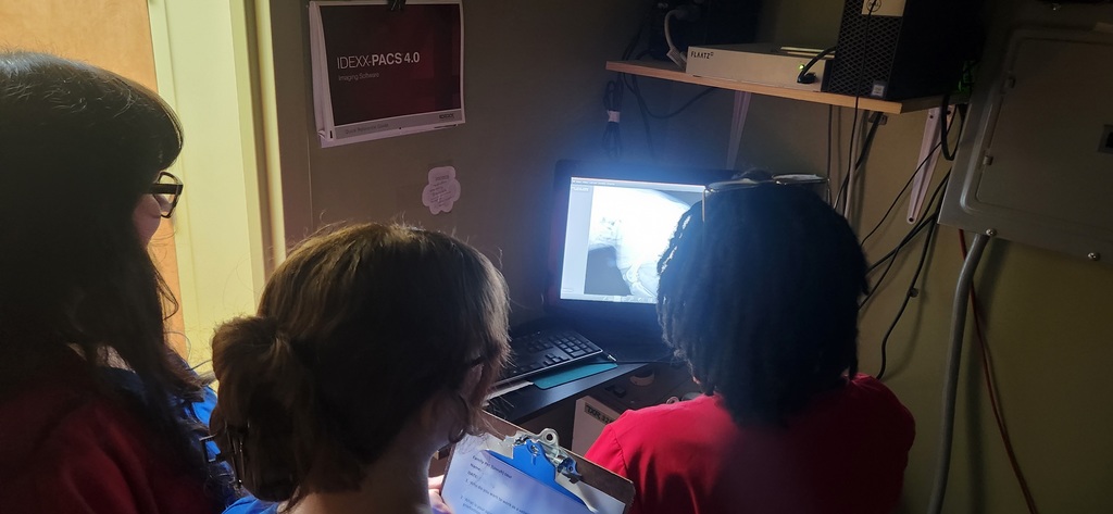 SPHS Healthcare & Clinical Services students had a hands-on learning experience at Family Pet Hospital