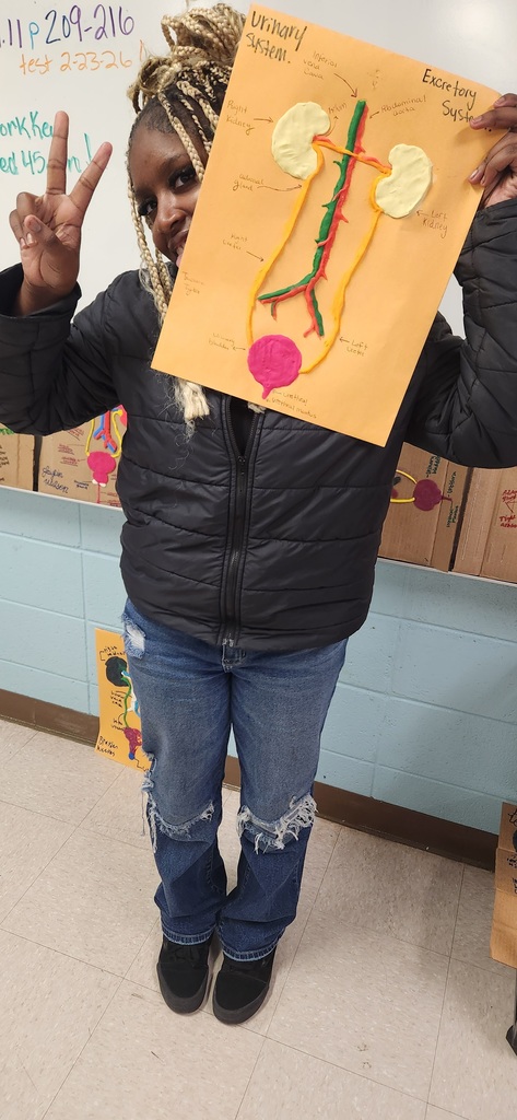 Mrs. Shultice’s Health Science Year One students brought anatomy to life this week.