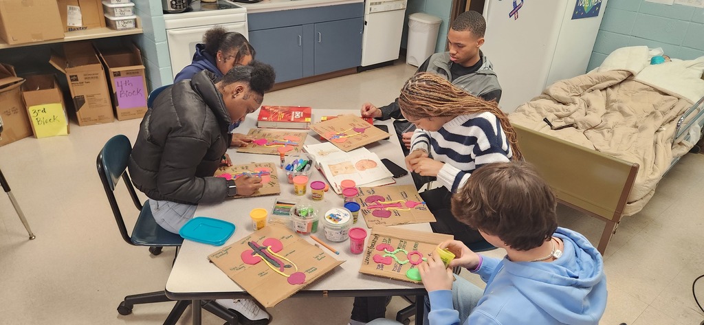 Mrs. Shultice’s Health Science Year One students brought anatomy to life this week.