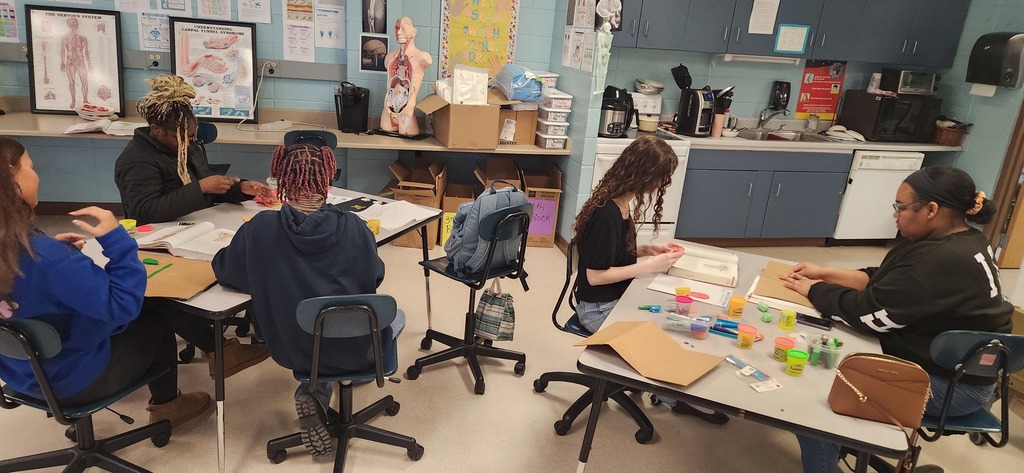 Mrs. Shultice’s Health Science Year One students brought anatomy to life this week.