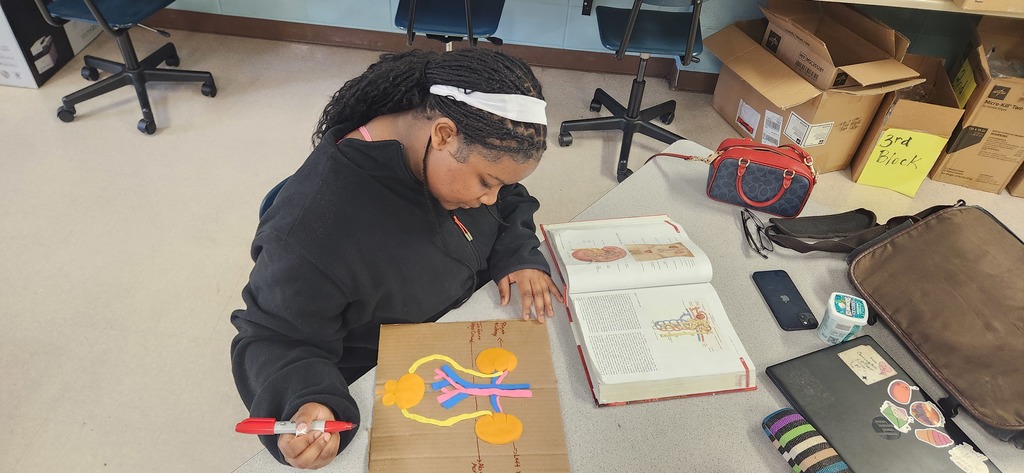 Mrs. Shultice’s Health Science Year One students brought anatomy to life this week.