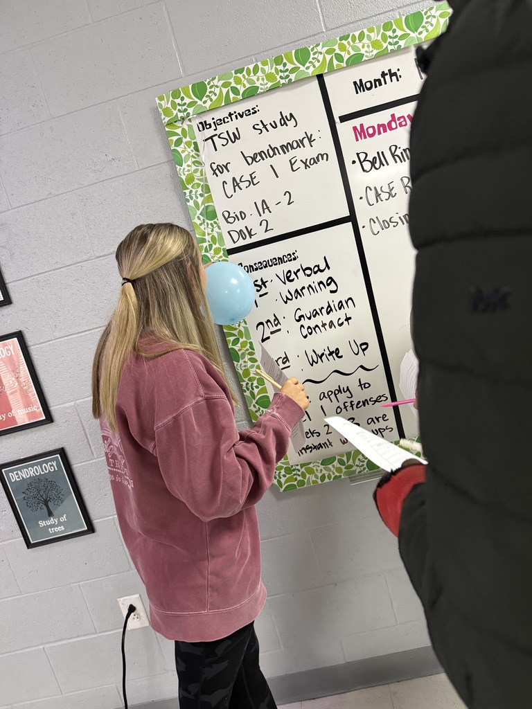 students investigated the diffusion of scent particles and discussed how balloons model the semi-permeability of the cell membrane