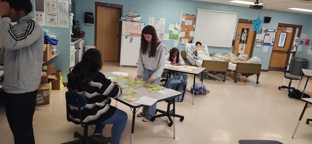 SPHS students in Mrs. Shultice's Health Science Core (Year 1) class recently participated in our “Use Your Brain” activity