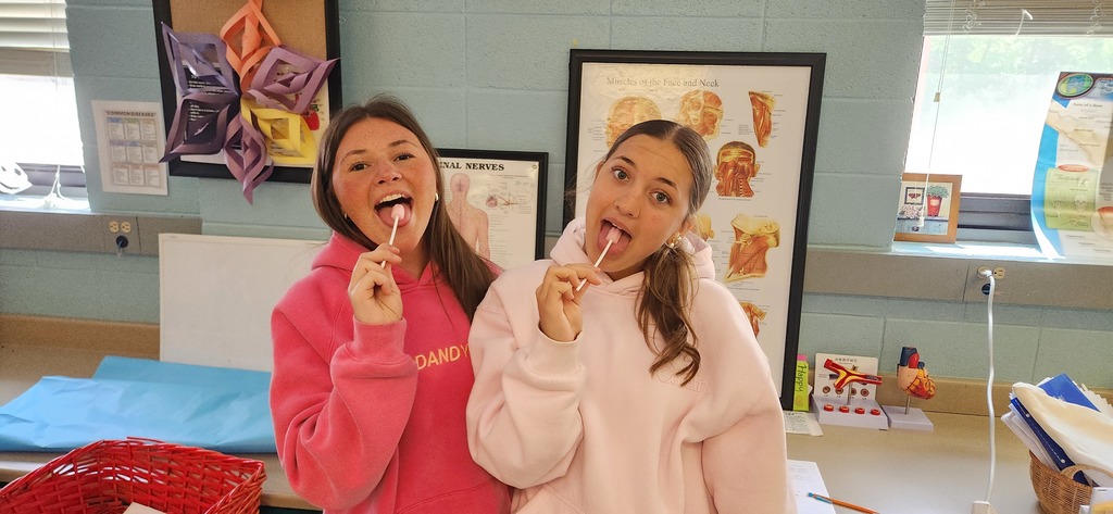 SPHS students in Mrs. Shultice's Health Science Core (Year 1) class recently participated in our “Use Your Brain” activity
