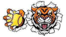 softball graphic