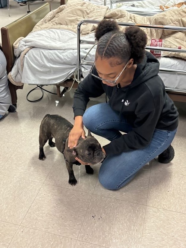 SPHS Health Science students learning firsthand about the benefits of animal-assisted therapy.
