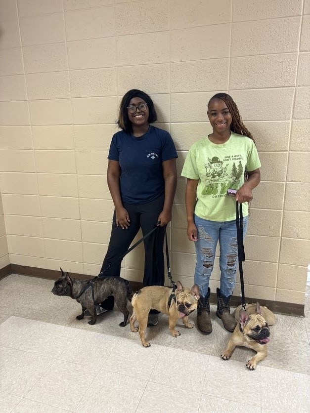 SPHS Health Science students learning firsthand about the benefits of animal-assisted therapy.