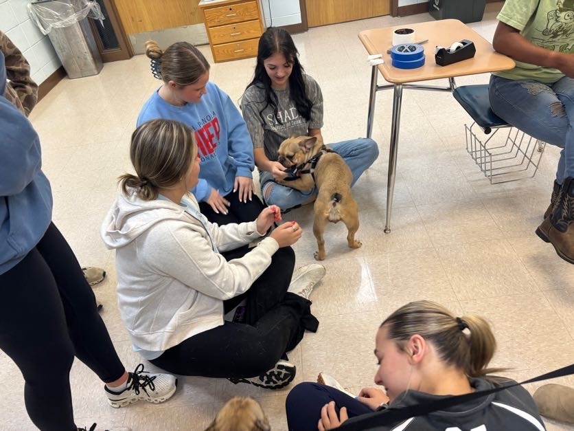 SPHS Health Science students learning firsthand about the benefits of animal-assisted therapy.