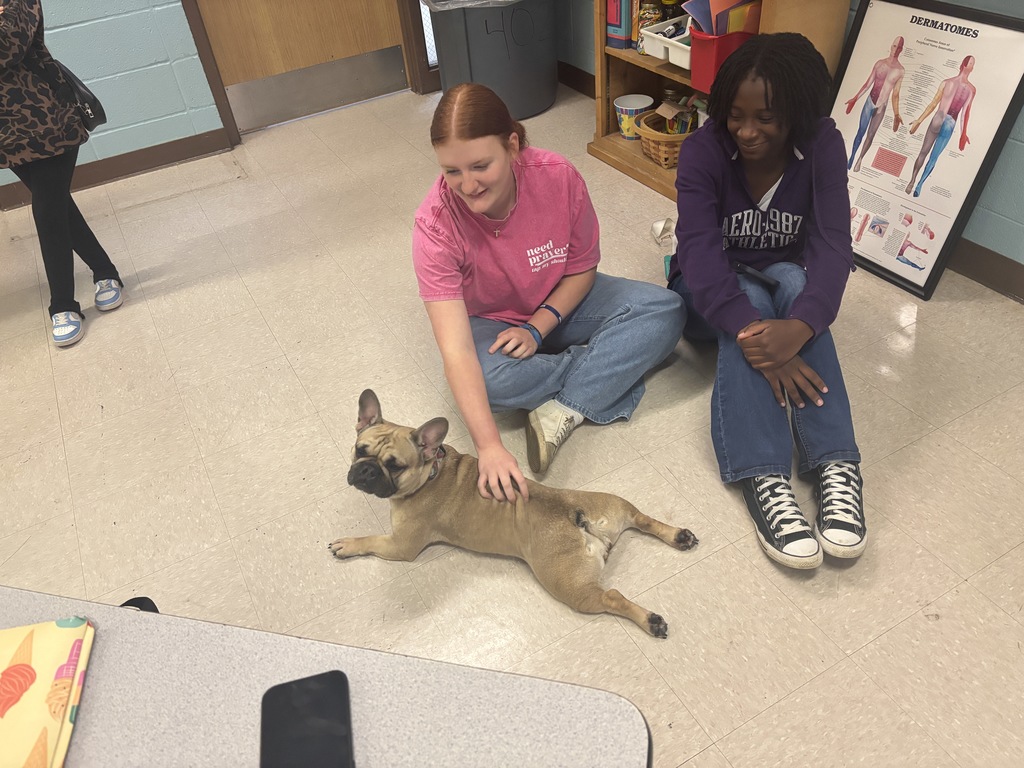 SPHS Health Science students learning firsthand about the benefits of animal-assisted therapy.